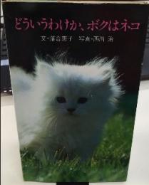 どういうわけか、ボクはネコ