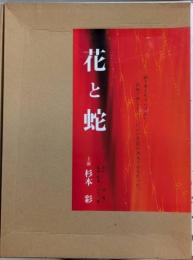 映画 花と蛇 生写真集