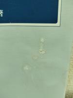 中国の財政調整制度の新展開 : 「調和の取れた社会」に向けて