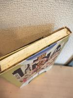 眼の神殿 : 「美術」受容史ノート