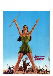 【映画パンフレット】赤い矢　Run of the arrow