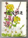 一郎綾の生涯