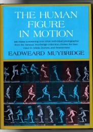 The Human Figure in Motion