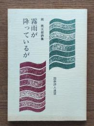 霧雨が降っているが : 岡亮太郎詩集