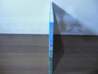 光年の森 (ビッグコミックススペシャル)