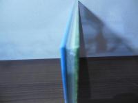 光年の森 (ビッグコミックススペシャル)