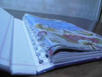 Needle Lace Techniques for Hand Embroidery