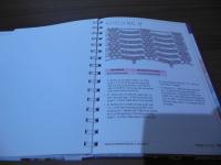 Needle Lace Techniques for Hand Embroidery