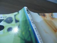 モス・インテリア : きれいな苔をかざった、かわいいグリーンインテリア