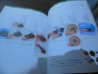 モス・インテリア : きれいな苔をかざった、かわいいグリーンインテリア