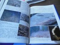 潜水調査船が観た深海生物 : 深海生物研究の現在 : 海洋研究開発機構