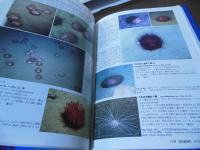 潜水調査船が観た深海生物 : 深海生物研究の現在 : 海洋研究開発機構