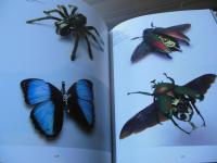 スチームパンク : ネオヴィクトリアン・アートギャラリー