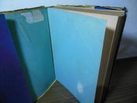 支那の少年は語る