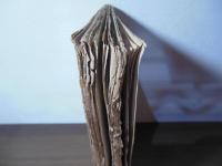 支那革命の諸問題