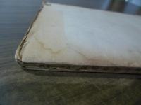 支那革命の諸問題