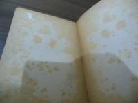 新段階に立つ中国政治