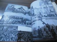 支那は生存し得るか