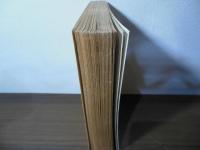 ビルマ戦記　パゴダの鐘が鳴る