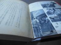 基地日本 : うしなわれいく祖国のすがた