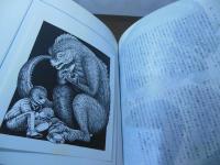 ソムニウム夜間飛行記