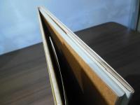 ケイト・グリーナウェイ　花言葉