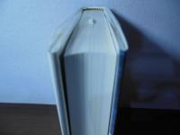 ザ・ライフルズ