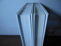 中国的天空 : 沈黙の航空戦史