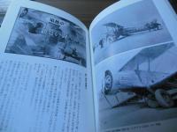 中国的天空 : 沈黙の航空戦史