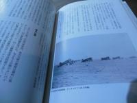 中国的天空 : 沈黙の航空戦史