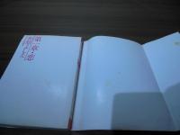 第一章・恋 : 柏原よしえフォト・エッセイ