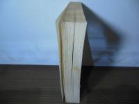 From the Ruins of Empire: The Revolt Against the West and the Remaking of Asia (English Edition)