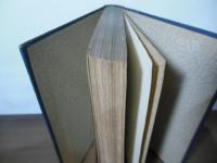 不良少年の実際