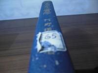 不良少年の実際