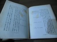 不良少年の実際