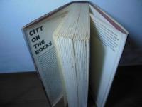 City on the Rocks: Hong Kong's Uncertain Future