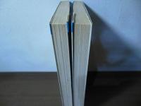 悪魔のようなあいつ　全2巻セット