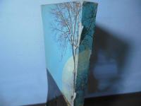 IRAN TODAY  Travel in colour