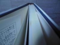 創造性の科学 : -図解・等価変換理論入門-