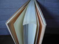 躁うつ病と対人行動 : 実存分析と役割分析