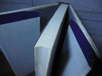 リアリズムの構造 : 批評の風景