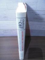 統合失調症を理解し支援するための認知行動療法