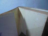 洋食考 : 食べものダンディ学