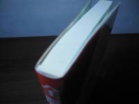 全脳への道 : 胎児のストレスまでとれる驚異のワンブレインシステム