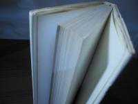 出会い : 書簡・写真・絵画・記録