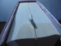 北京のアダム・スミス : 21世紀の諸系譜