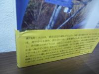 大山　北尾根・支尾根