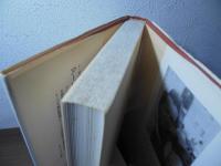 エデンの園の言語 : アーリア人とセム人:摂理のカップル