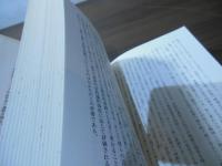 エデンの園の言語 : アーリア人とセム人:摂理のカップル