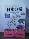 日本の桜